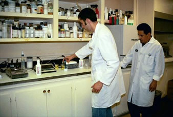 GLARE Plant - Production Area