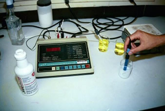 GLARE Plant - Packaging Area